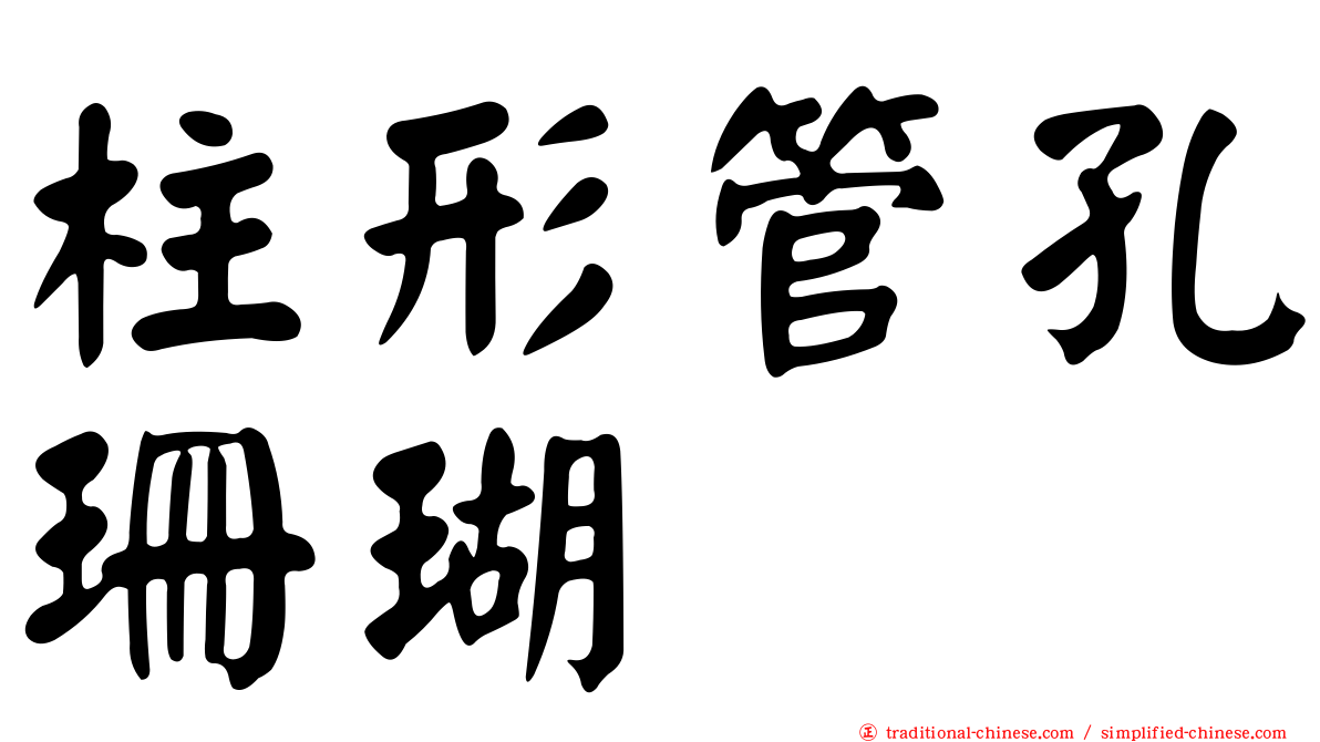 柱形管孔珊瑚