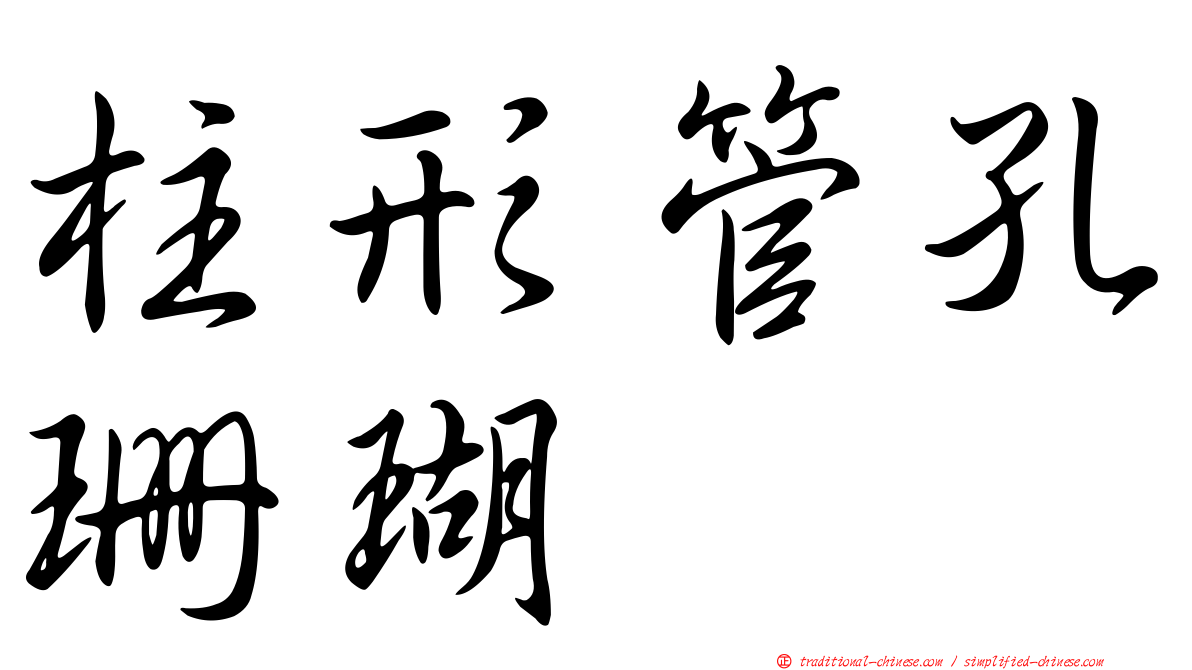 柱形管孔珊瑚