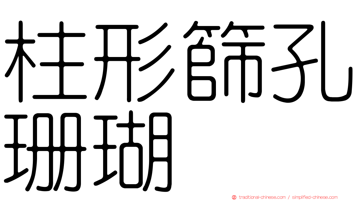 柱形篩孔珊瑚