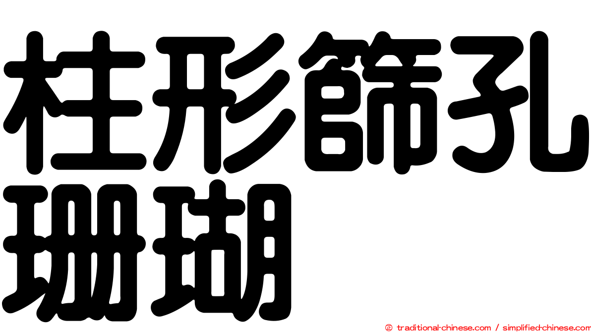 柱形篩孔珊瑚