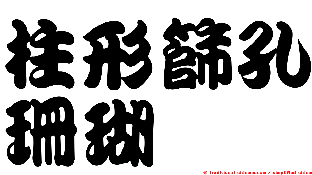 柱形篩孔珊瑚