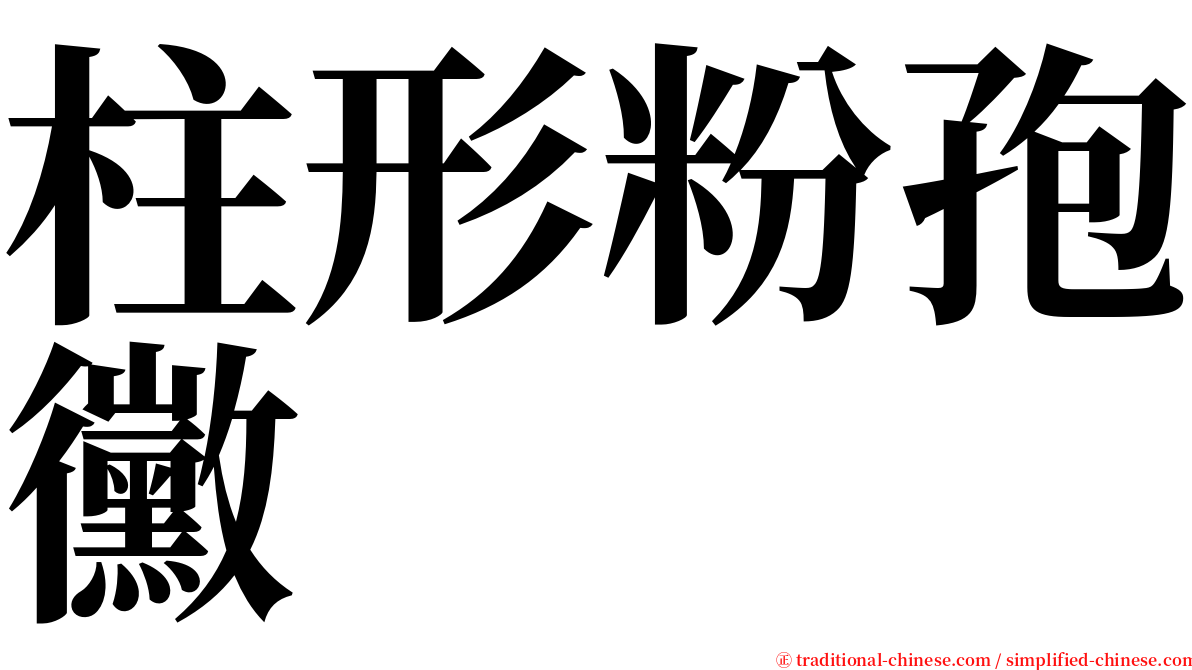 柱形粉孢黴 serif font