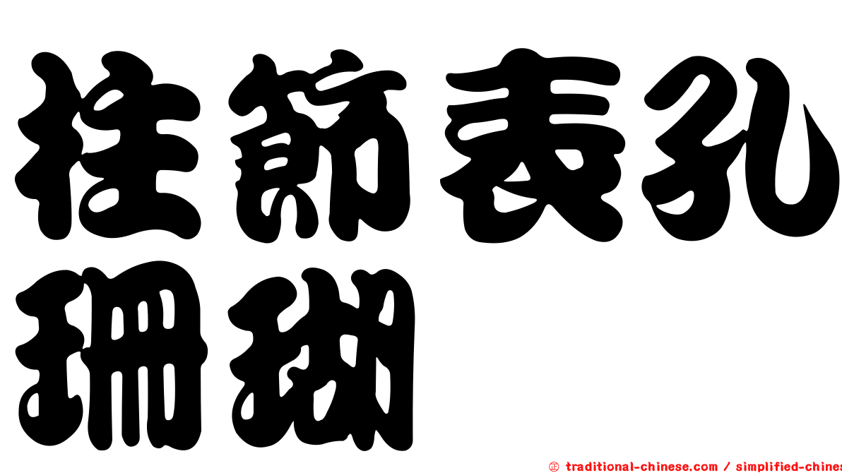 柱節表孔珊瑚