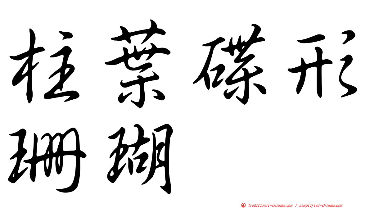 柱葉碟形珊瑚