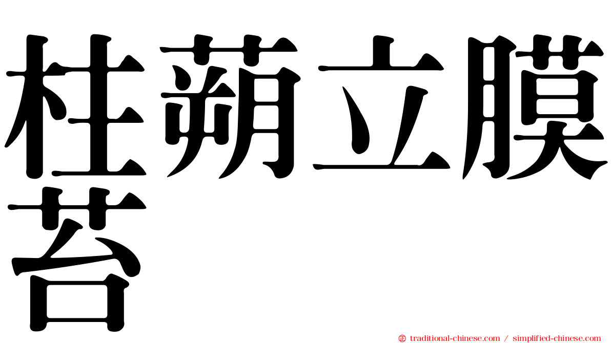 柱蒴立膜苔