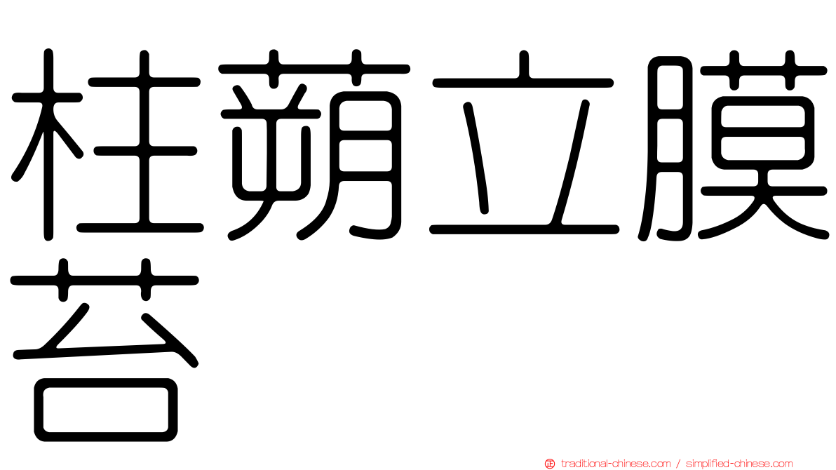 柱蒴立膜苔