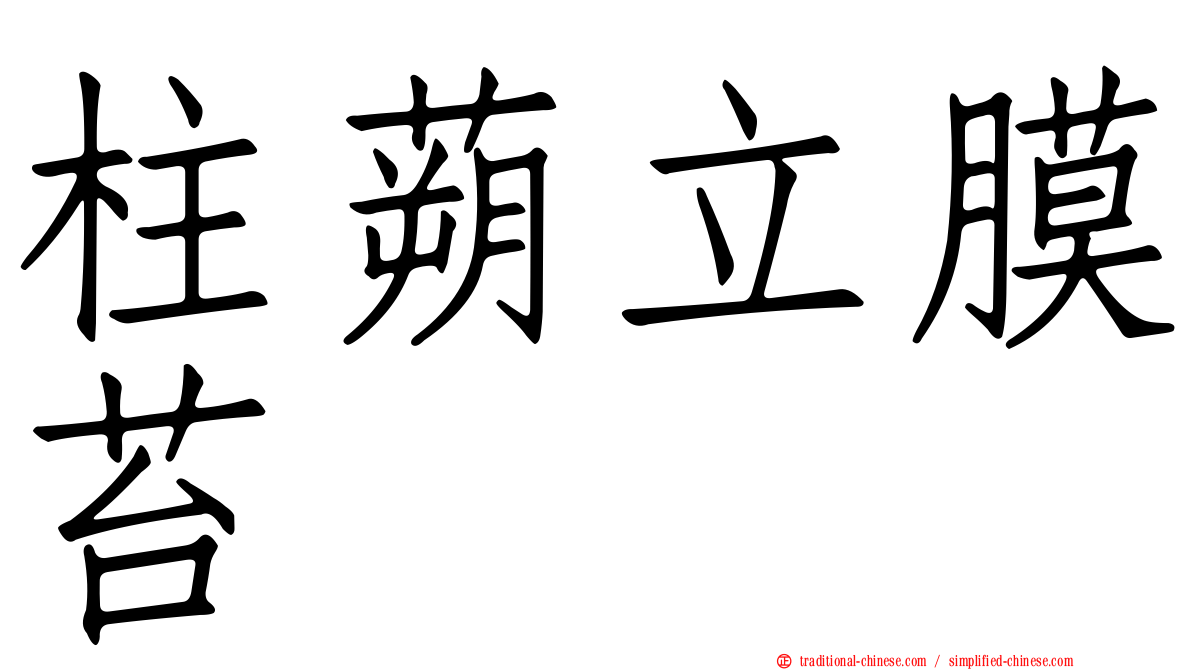 柱蒴立膜苔