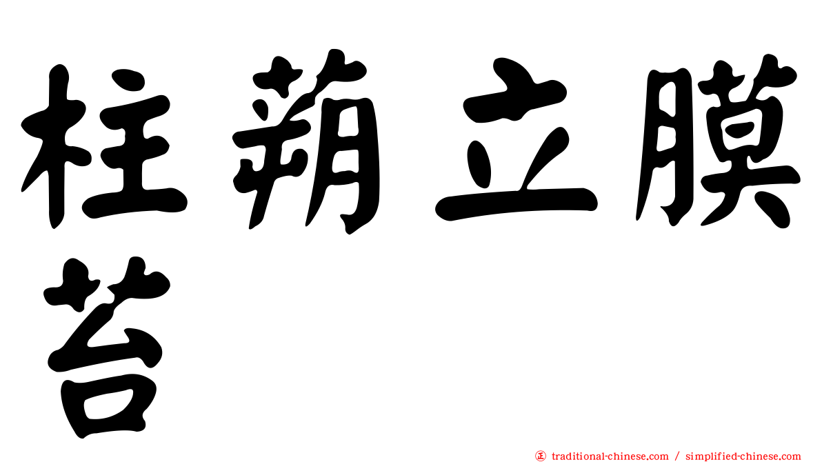 柱蒴立膜苔