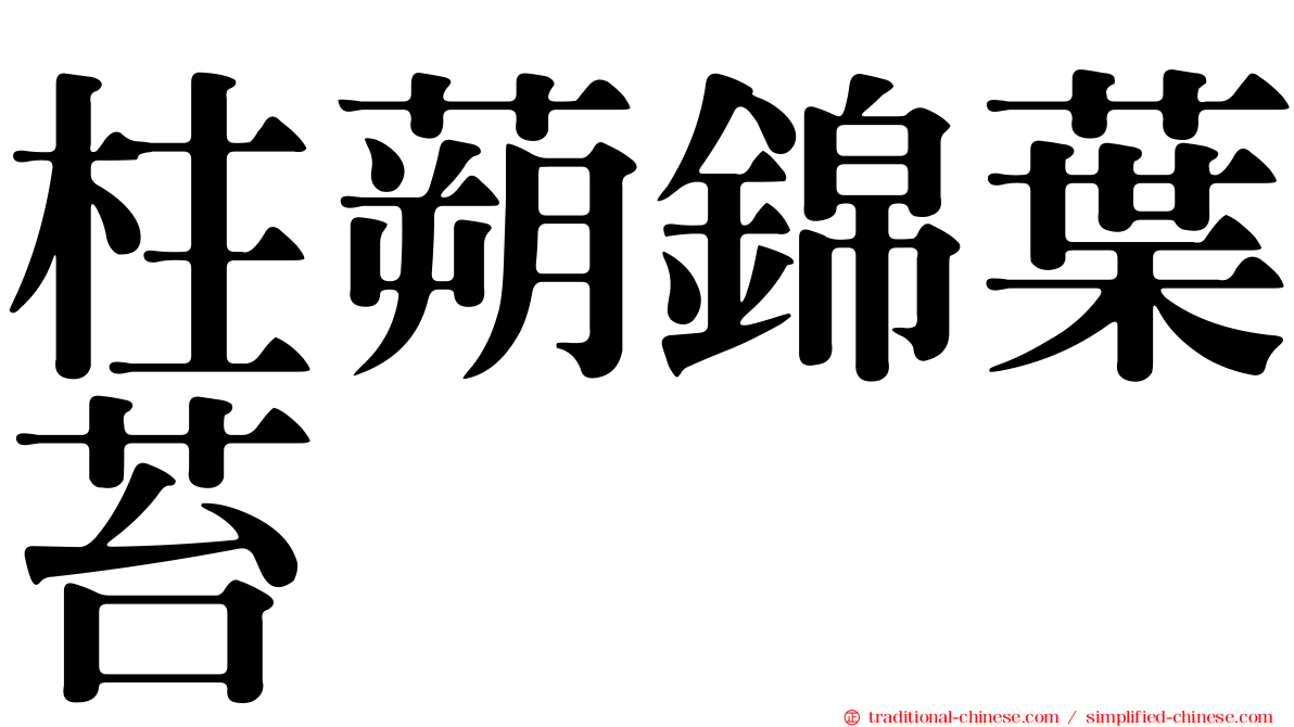 柱蒴錦葉苔