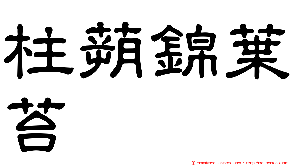 柱蒴錦葉苔