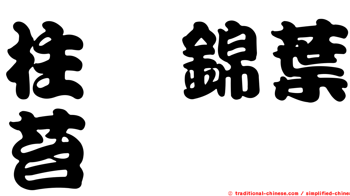 柱蒴錦葉苔