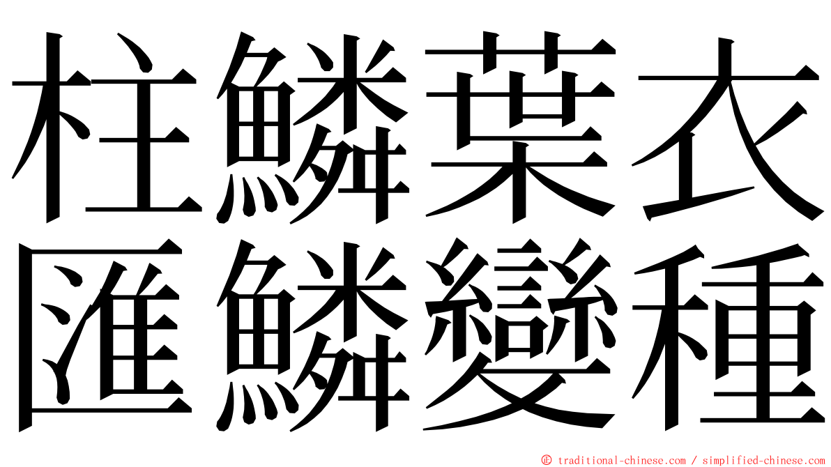 柱鱗葉衣匯鱗變種 ming font