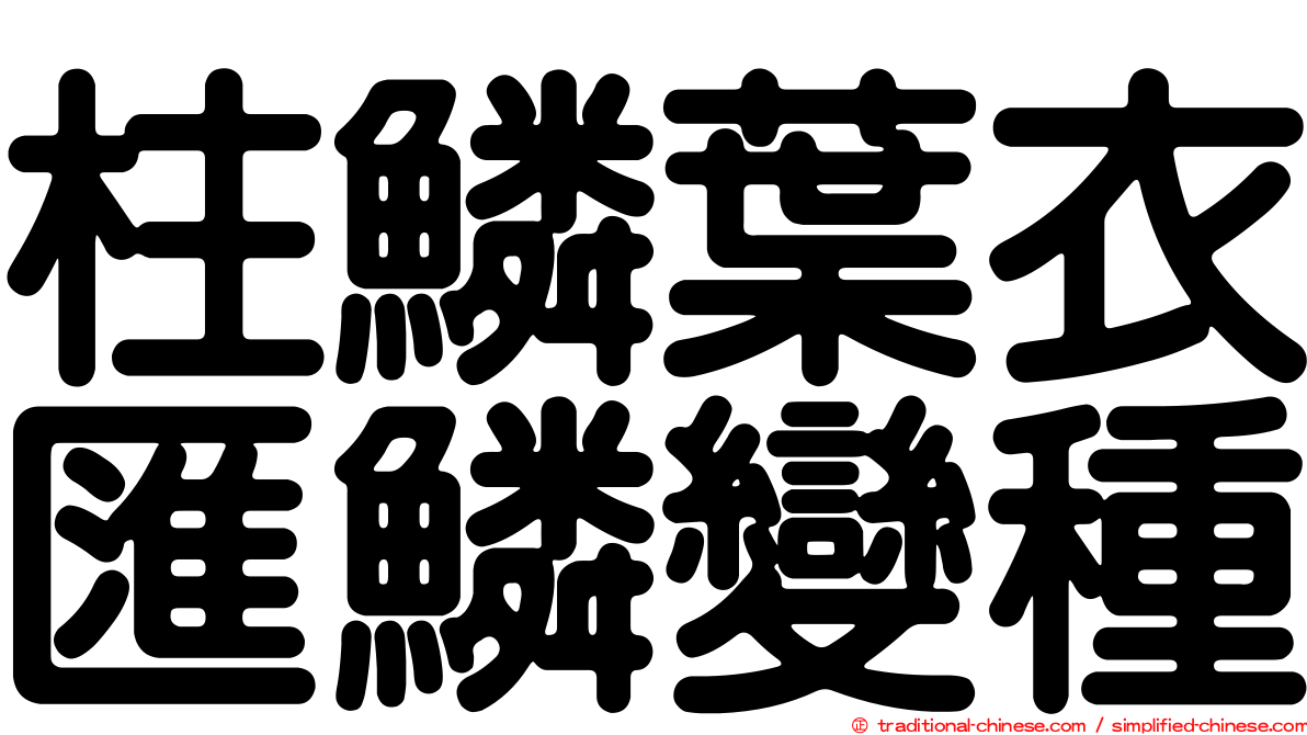 柱鱗葉衣匯鱗變種