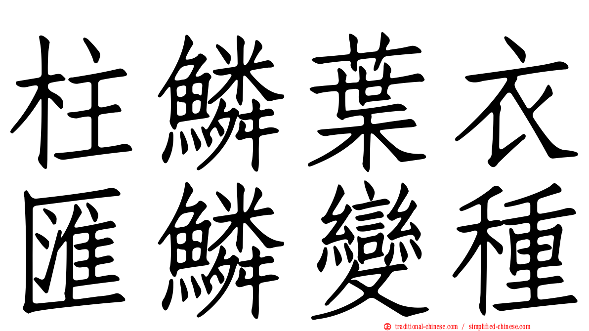 柱鱗葉衣匯鱗變種