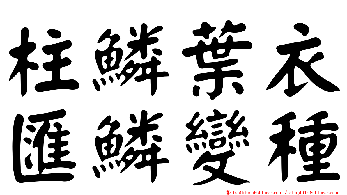 柱鱗葉衣匯鱗變種