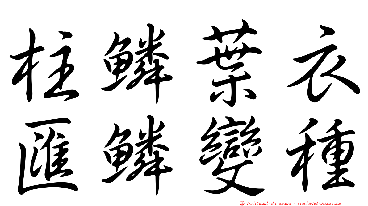 柱鱗葉衣匯鱗變種