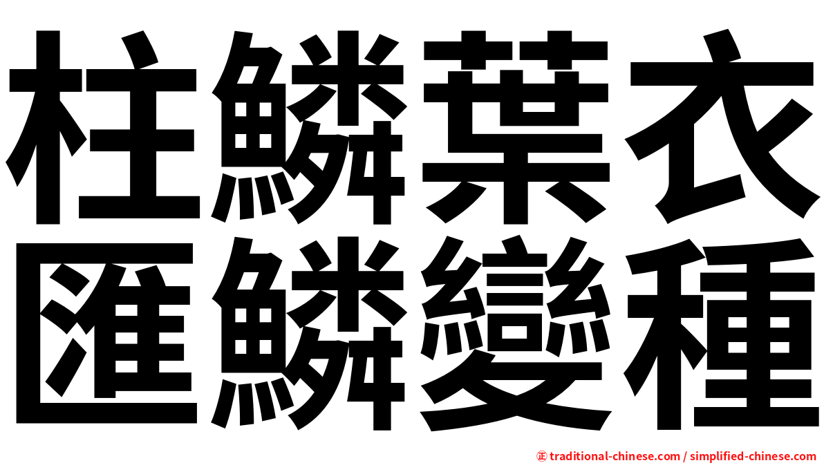 柱鱗葉衣匯鱗變種