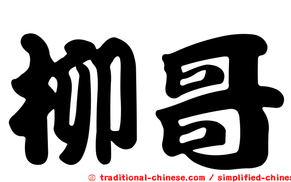 柳哥