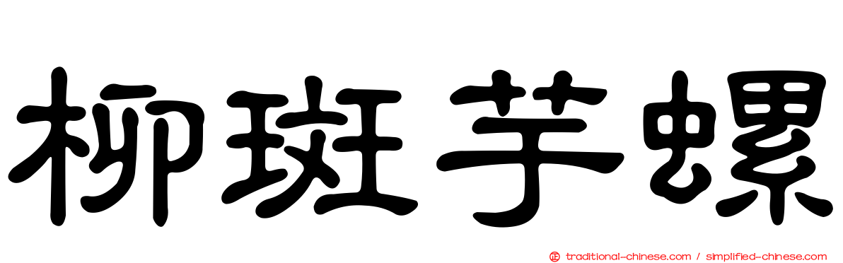 柳斑芋螺