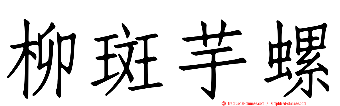 柳斑芋螺
