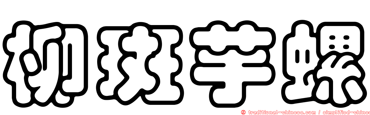 柳斑芋螺