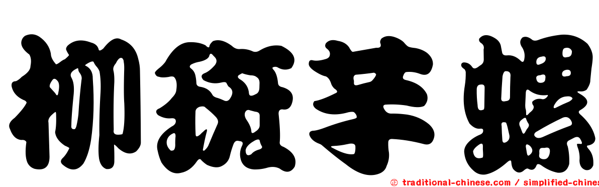 柳斑芋螺