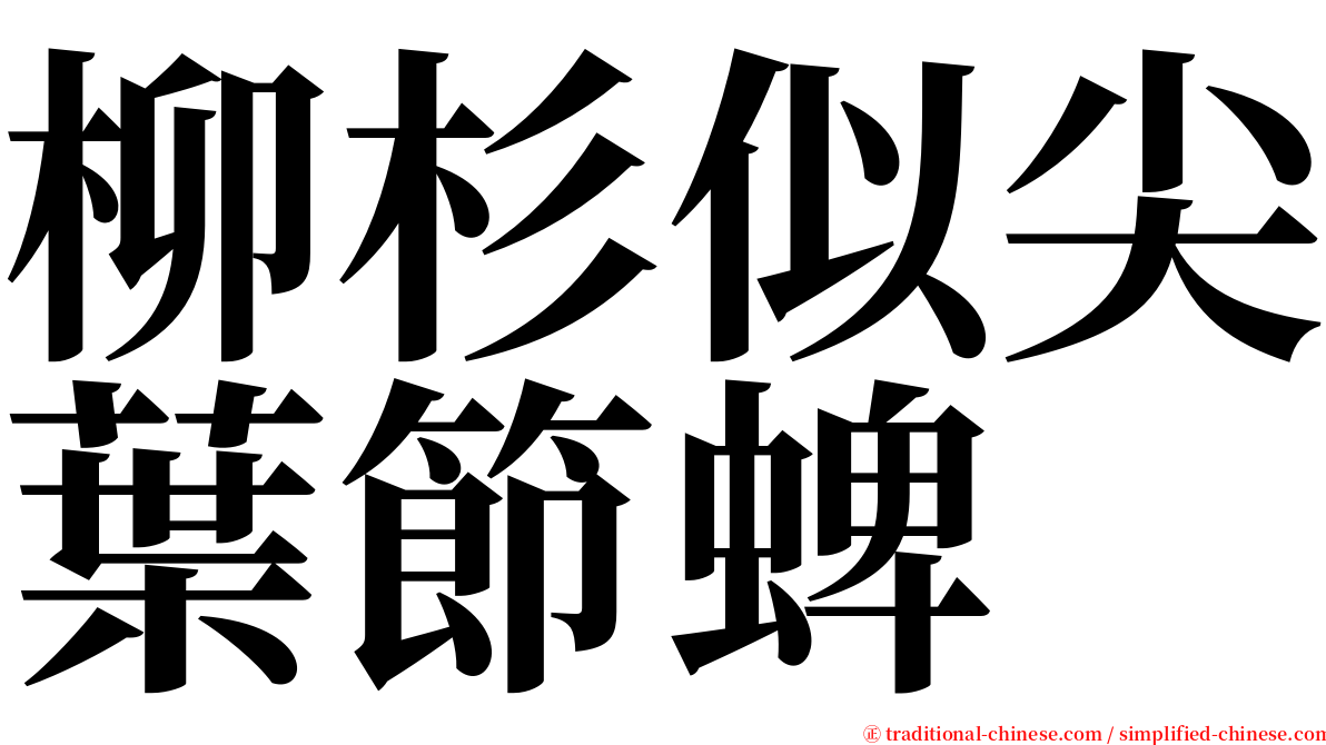 柳杉似尖葉節蜱 serif font