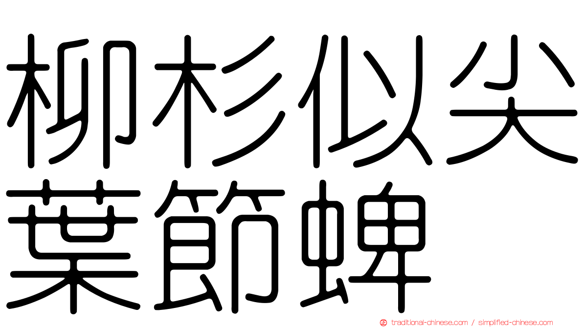 柳杉似尖葉節蜱