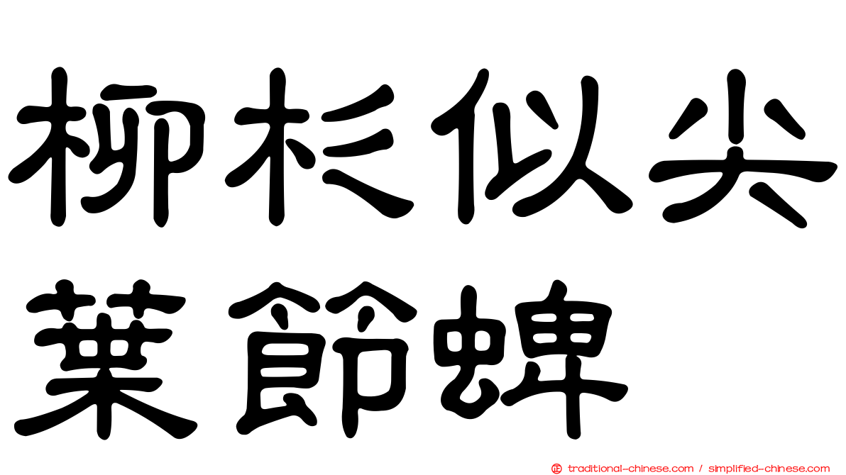 柳杉似尖葉節蜱