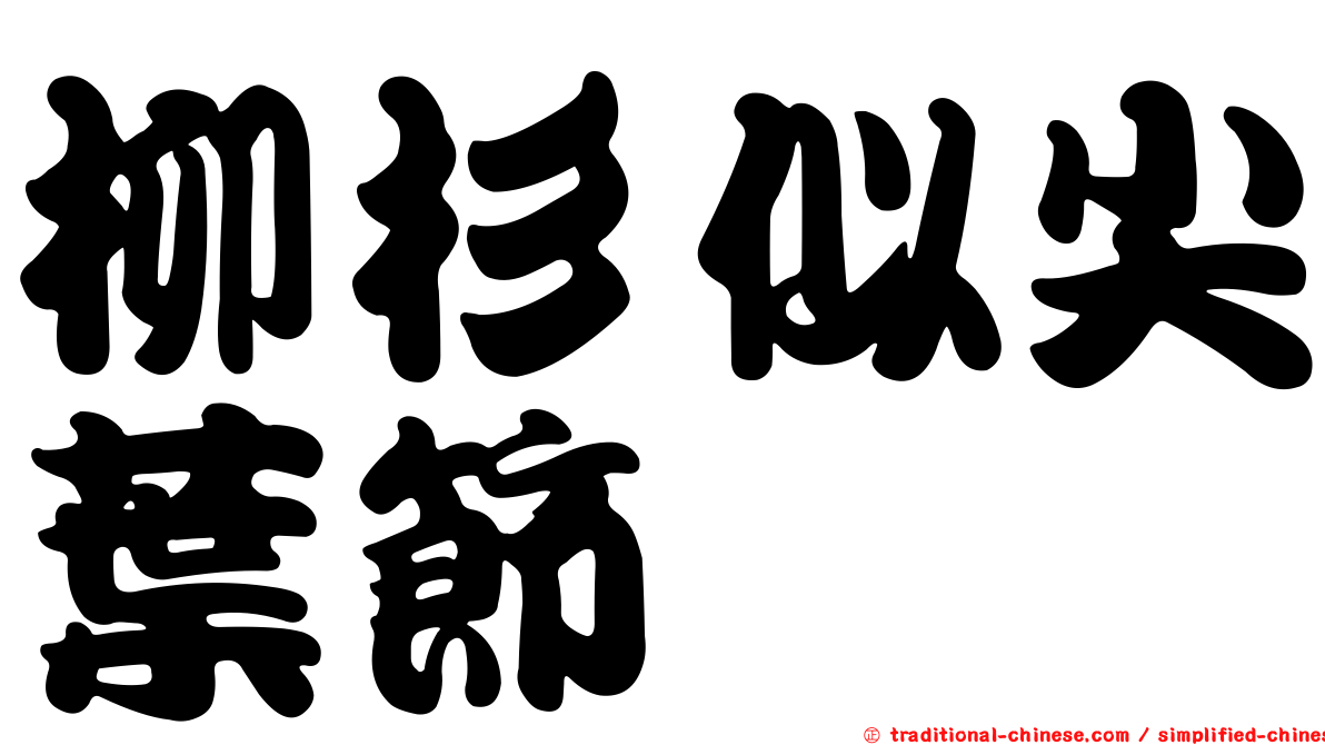 柳杉似尖葉節蜱