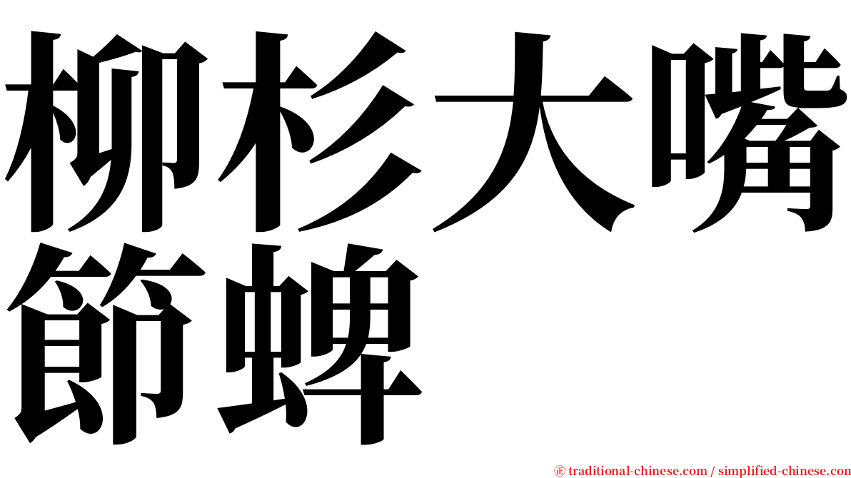 柳杉大嘴節蜱 serif font