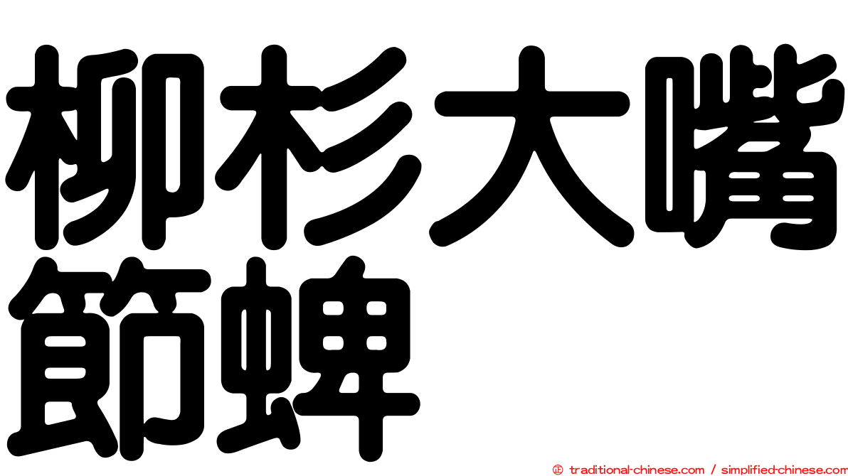 柳杉大嘴節蜱