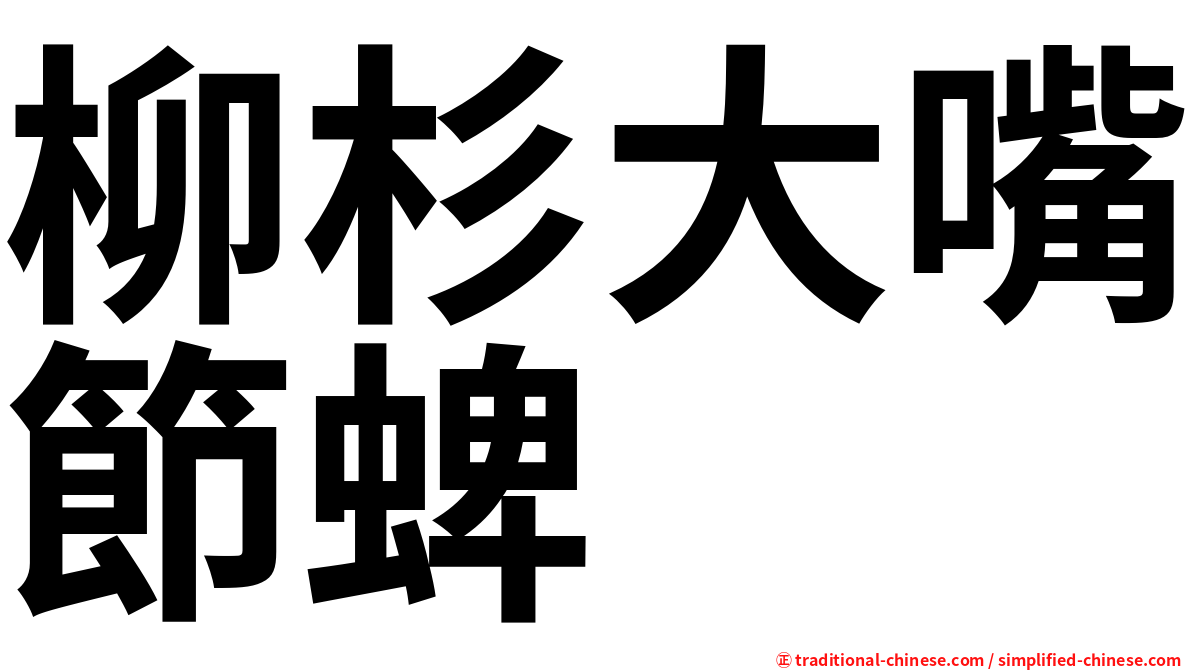 柳杉大嘴節蜱