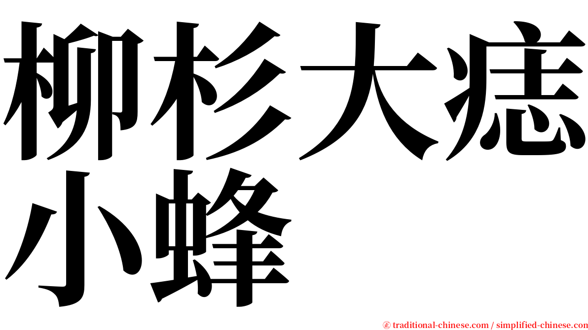 柳杉大痣小蜂 serif font