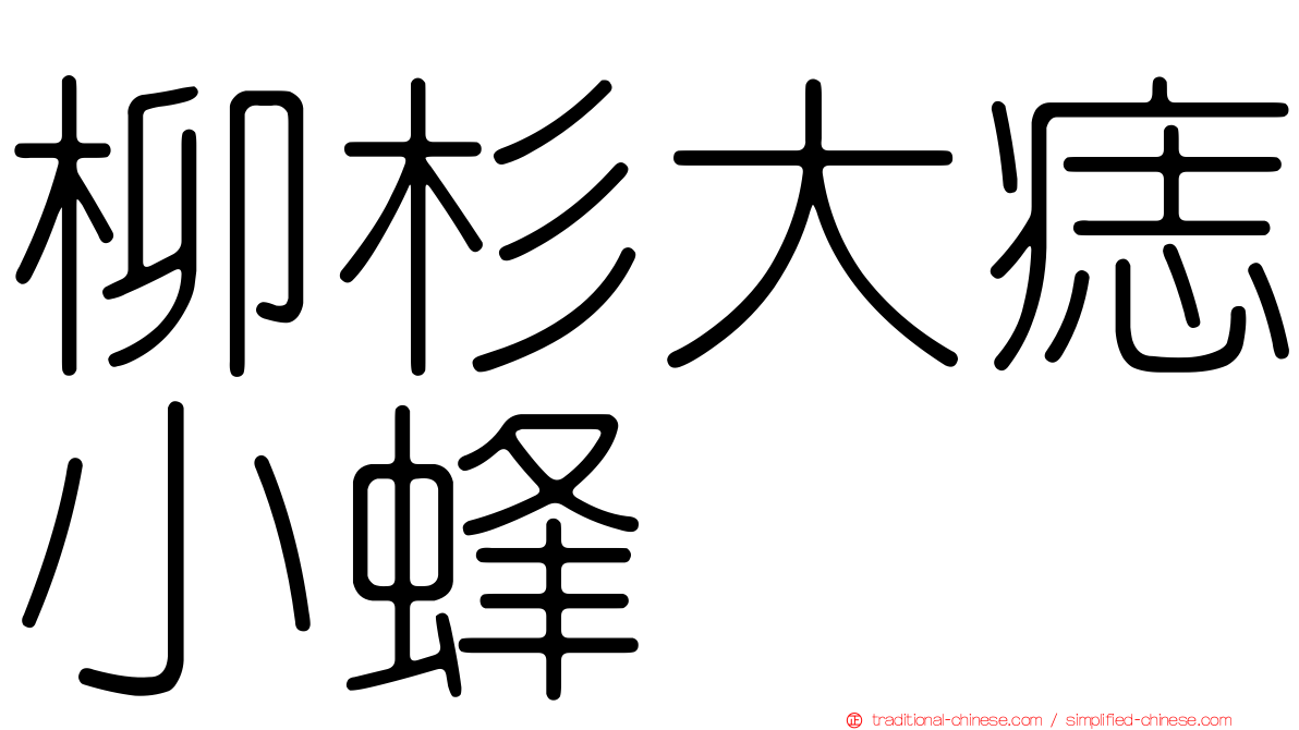柳杉大痣小蜂