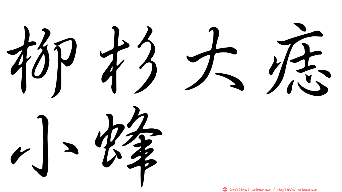 柳杉大痣小蜂