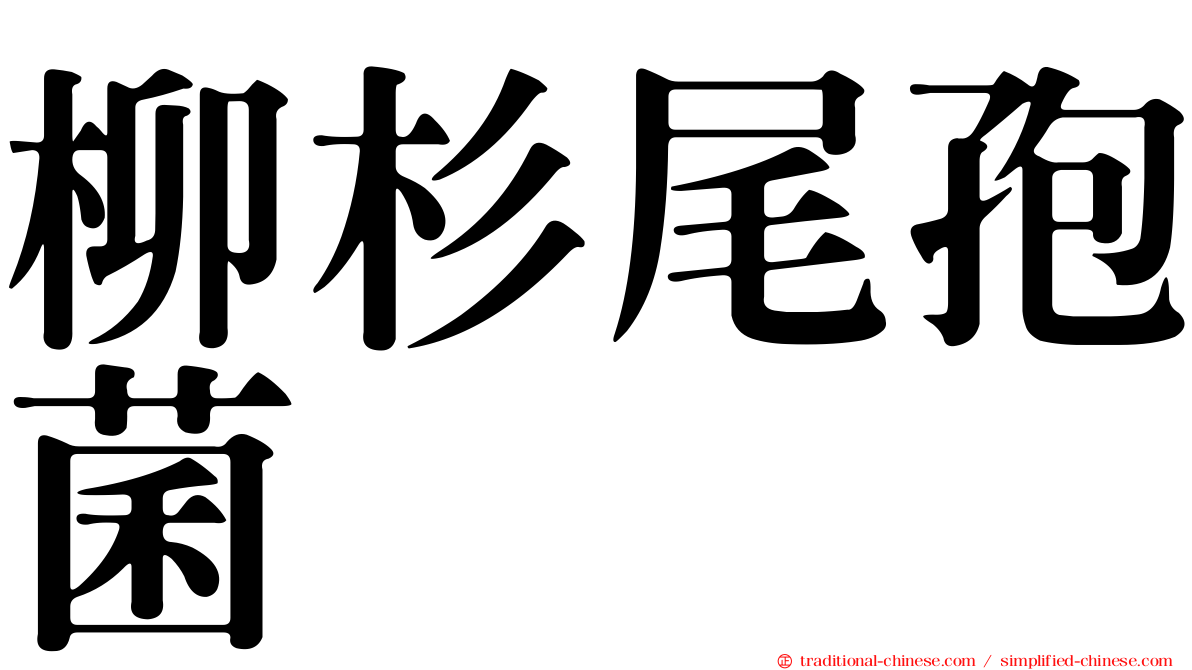 柳杉尾孢菌
