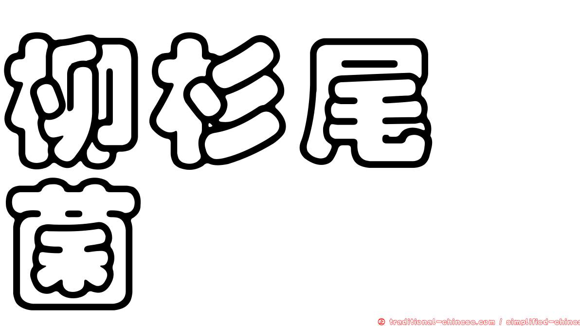 柳杉尾孢菌