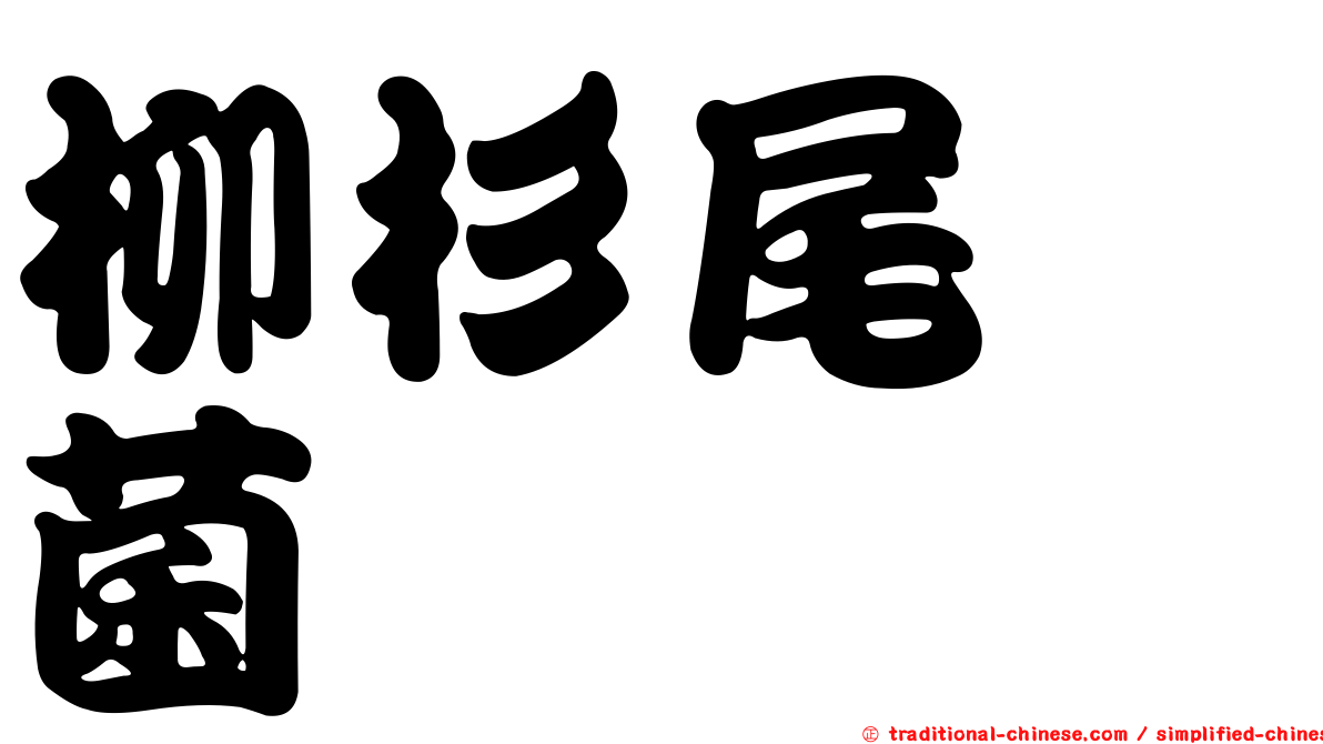 柳杉尾孢菌