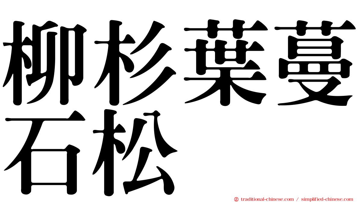柳杉葉蔓石松