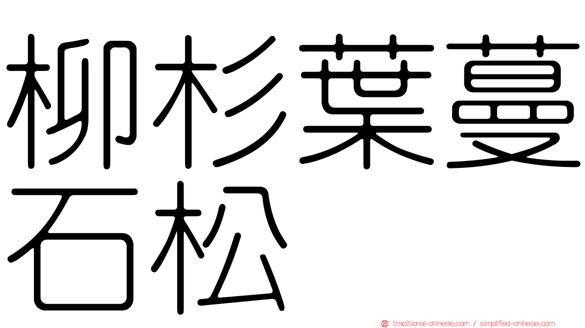 柳杉葉蔓石松