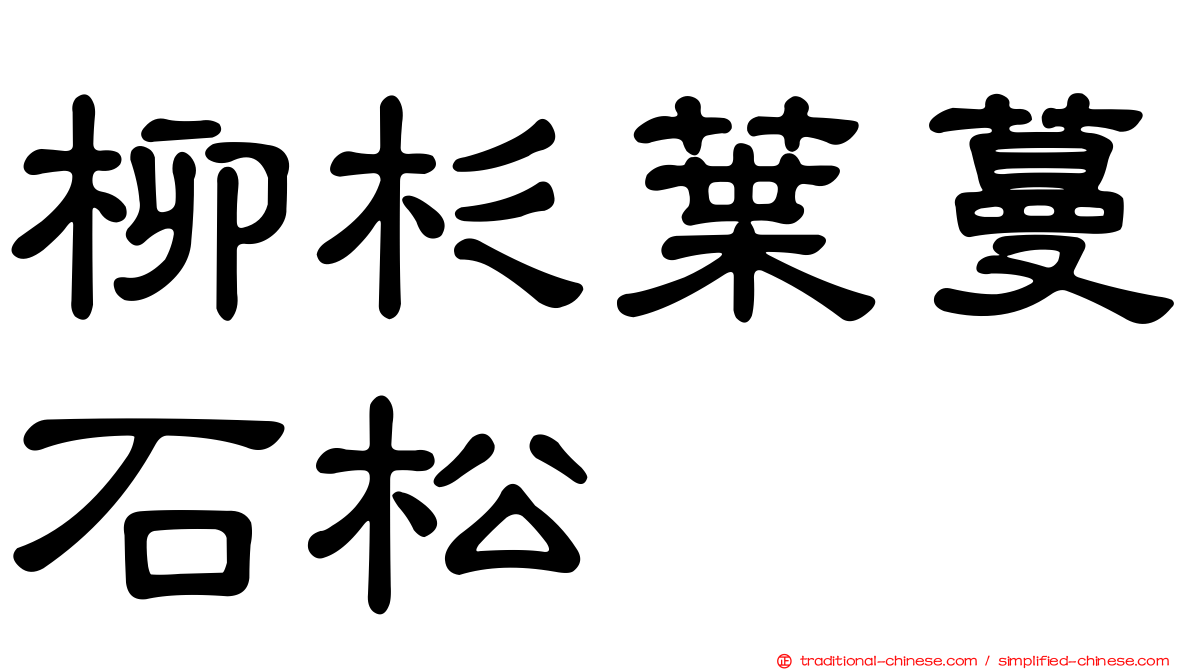柳杉葉蔓石松