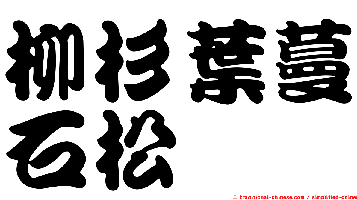 柳杉葉蔓石松