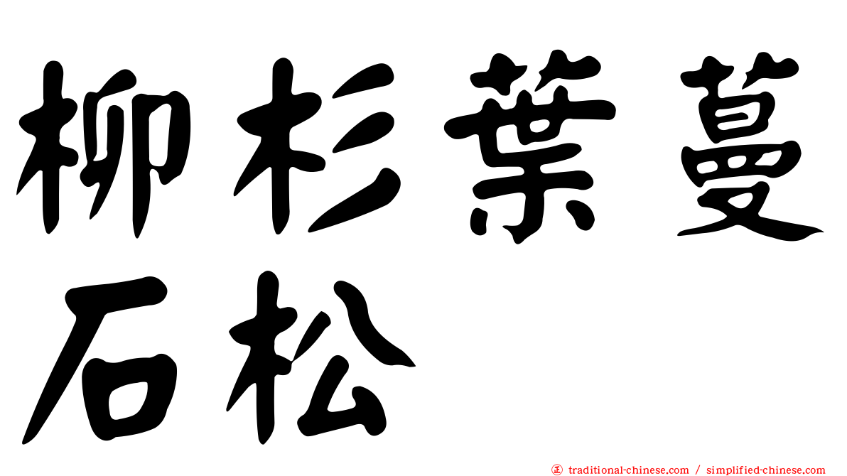柳杉葉蔓石松