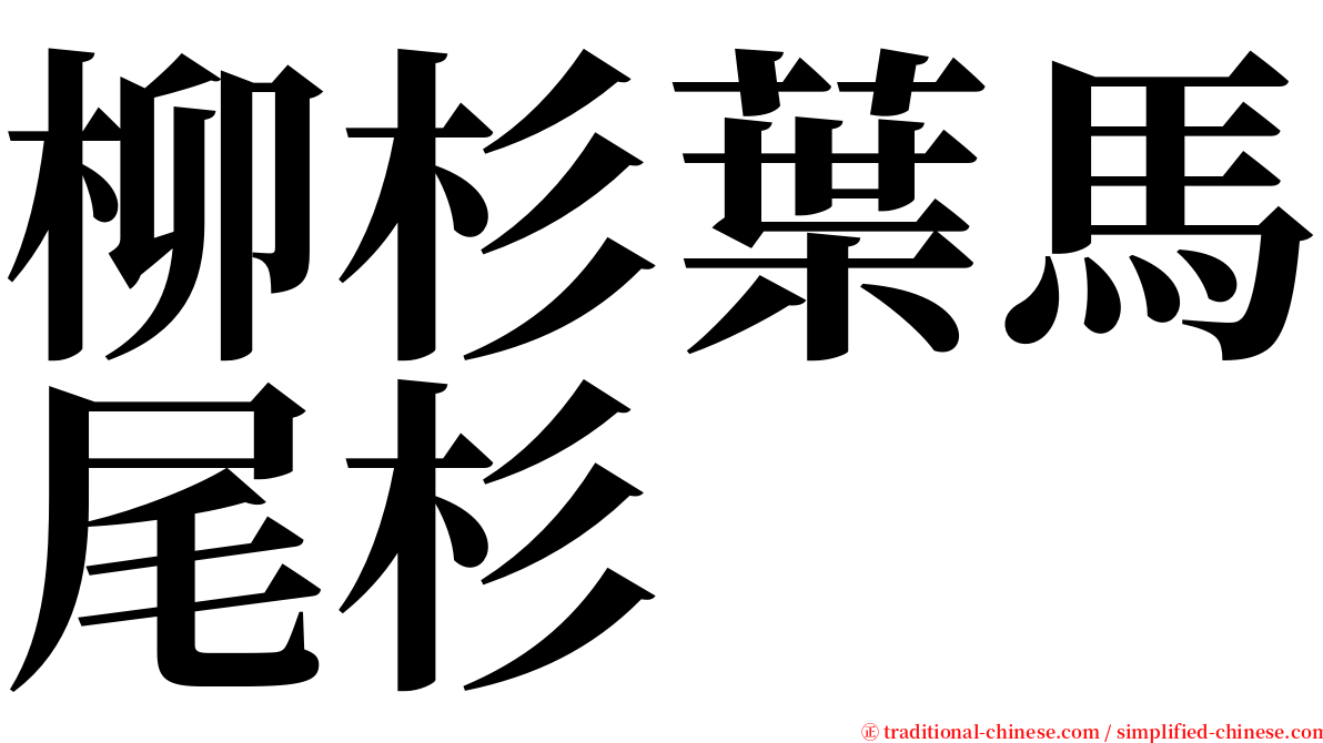 柳杉葉馬尾杉 serif font