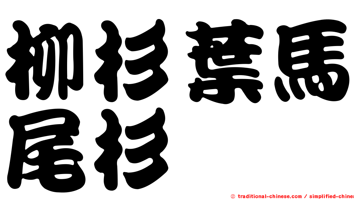 柳杉葉馬尾杉