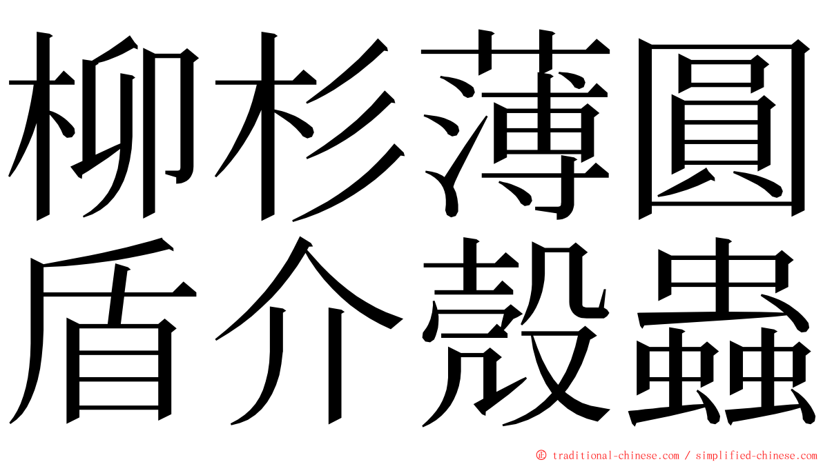 柳杉薄圓盾介殼蟲 ming font