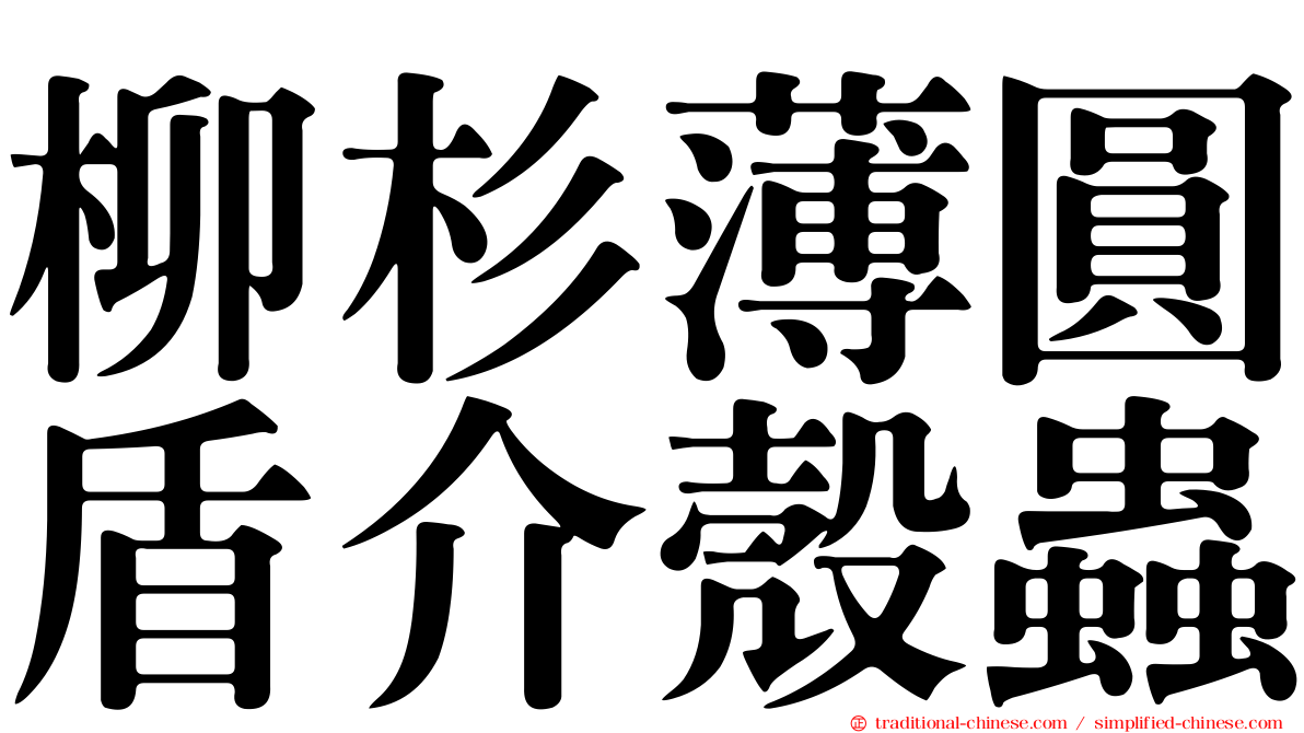 柳杉薄圓盾介殼蟲