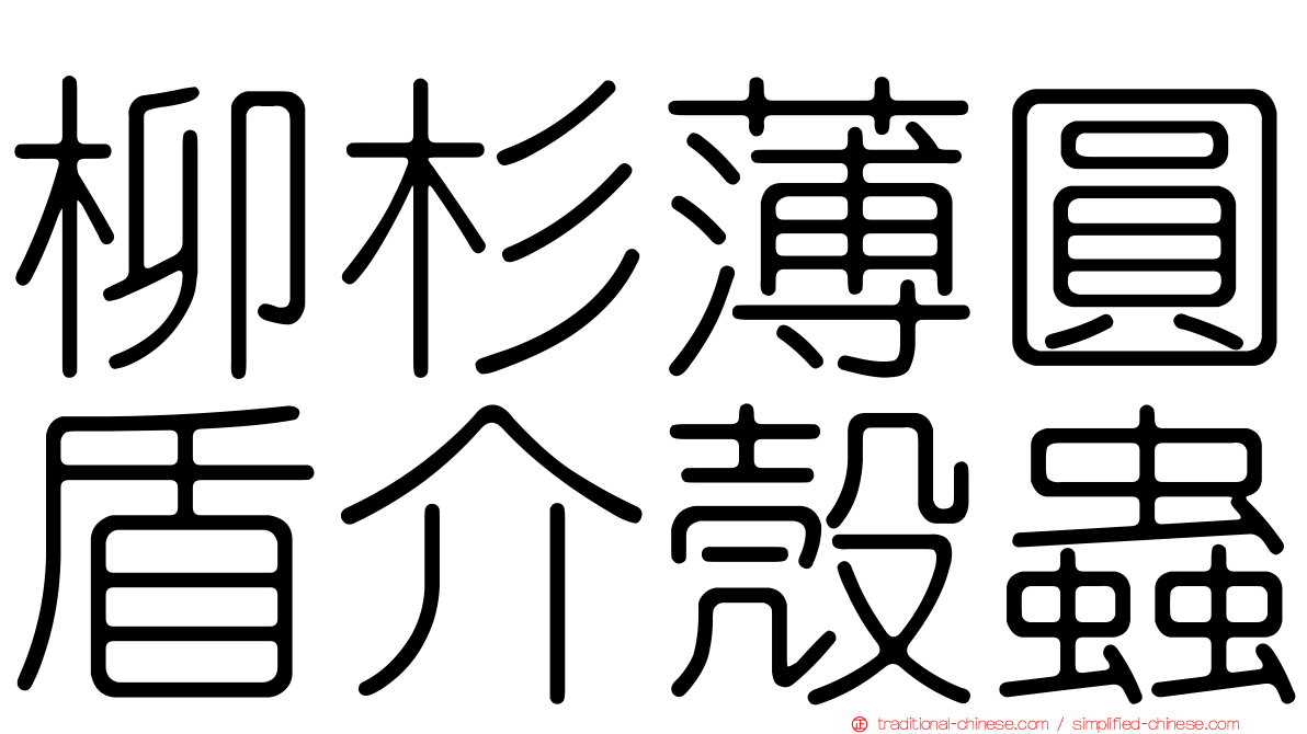 柳杉薄圓盾介殼蟲