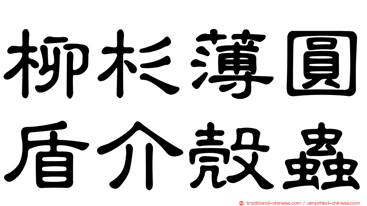 柳杉薄圓盾介殼蟲